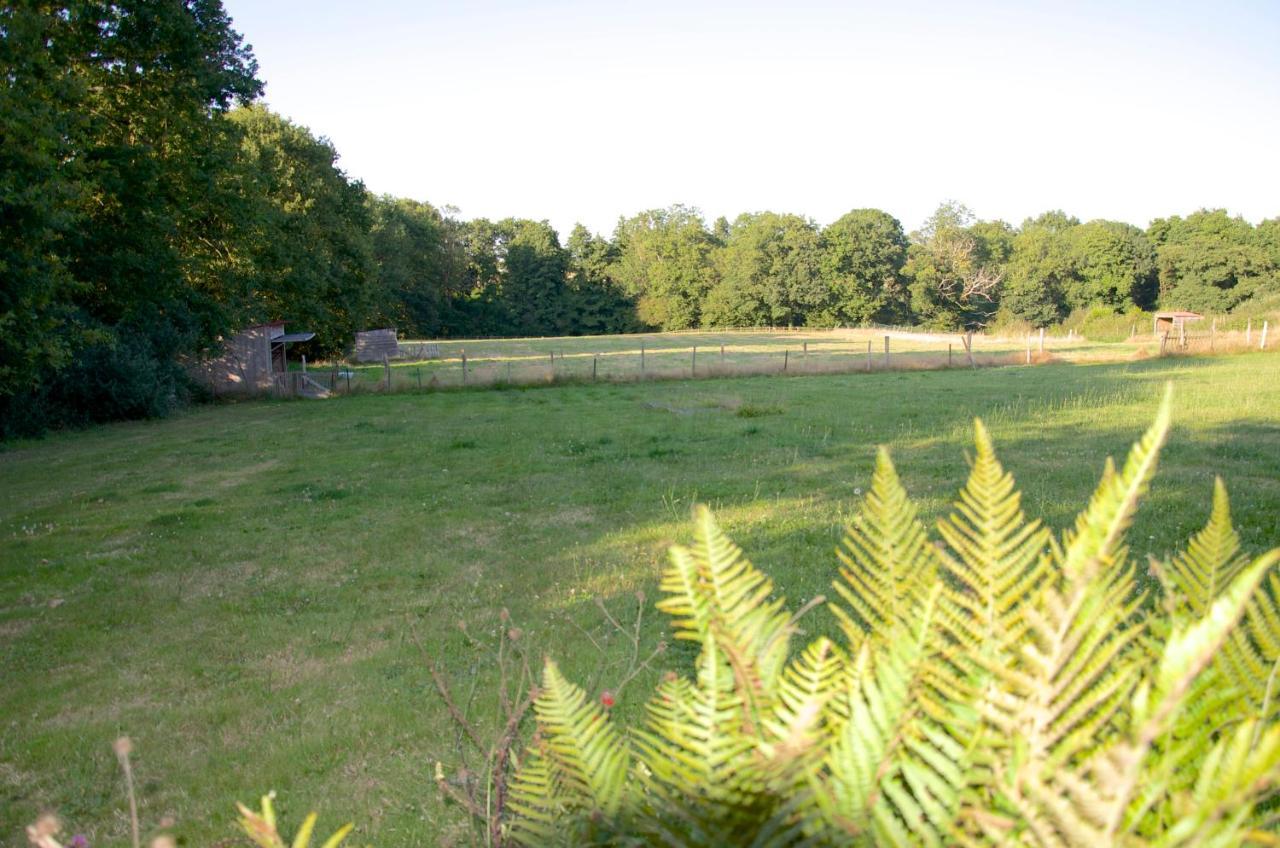Gite Le Champ Libre Dompierre-Sur-Yon Exterior photo
